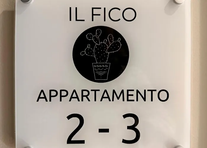 Il Fico - 3 - Lux & Design Made In Puglia New Opening * Bari